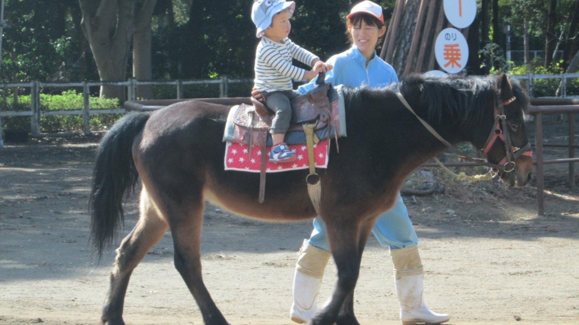 🐾 교감 동물원(후레아이 도부츠엔) 이미지 4